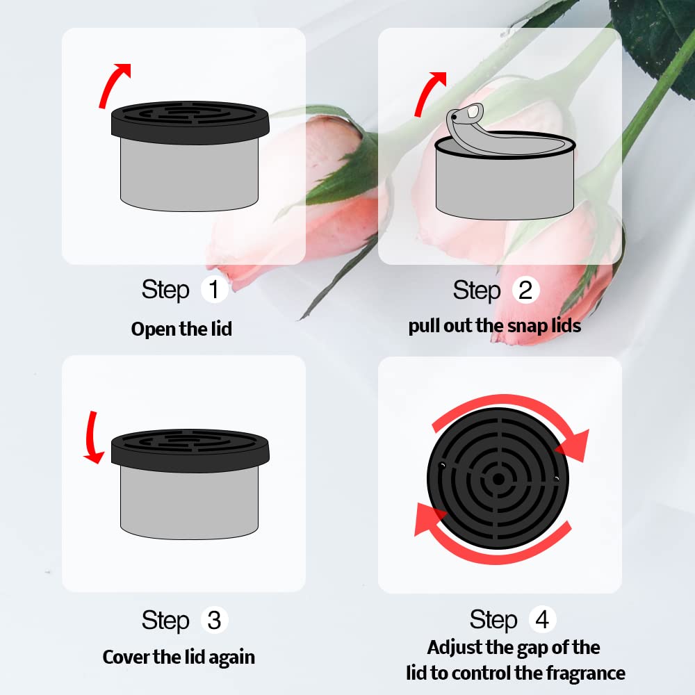 Car Air Freshener:   Coconut S - Home Fragrance Best 评论和价格